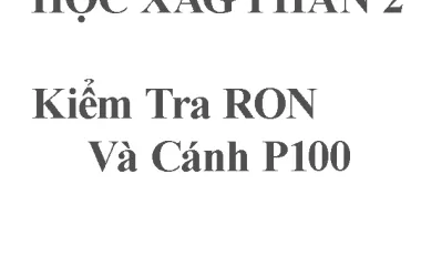 Phần 2: Kiểm Tra RON Cánh Và Cánh Của P100